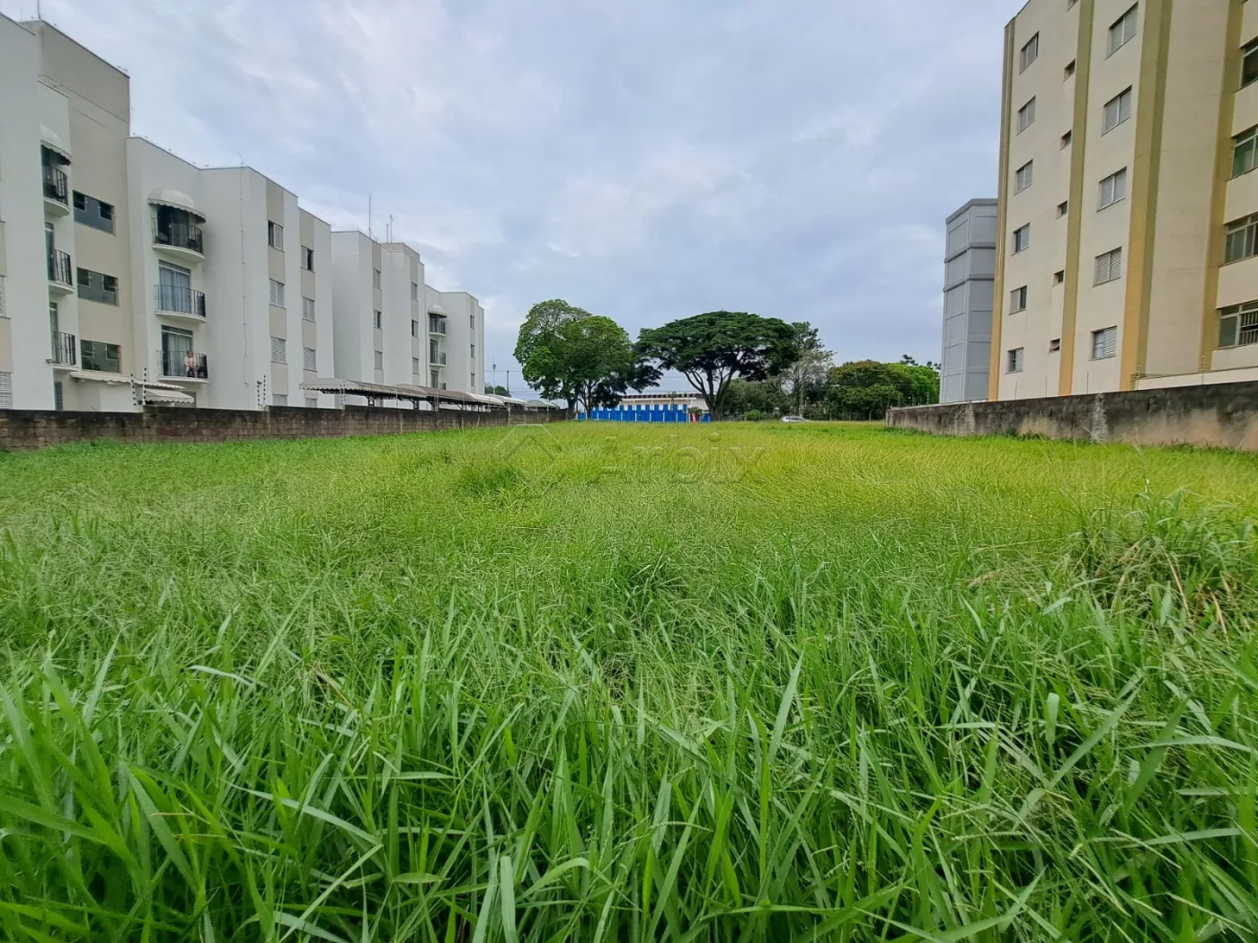 Comprar Terreno / Misto em Americana R$ 3.850.000,00 - Foto 9