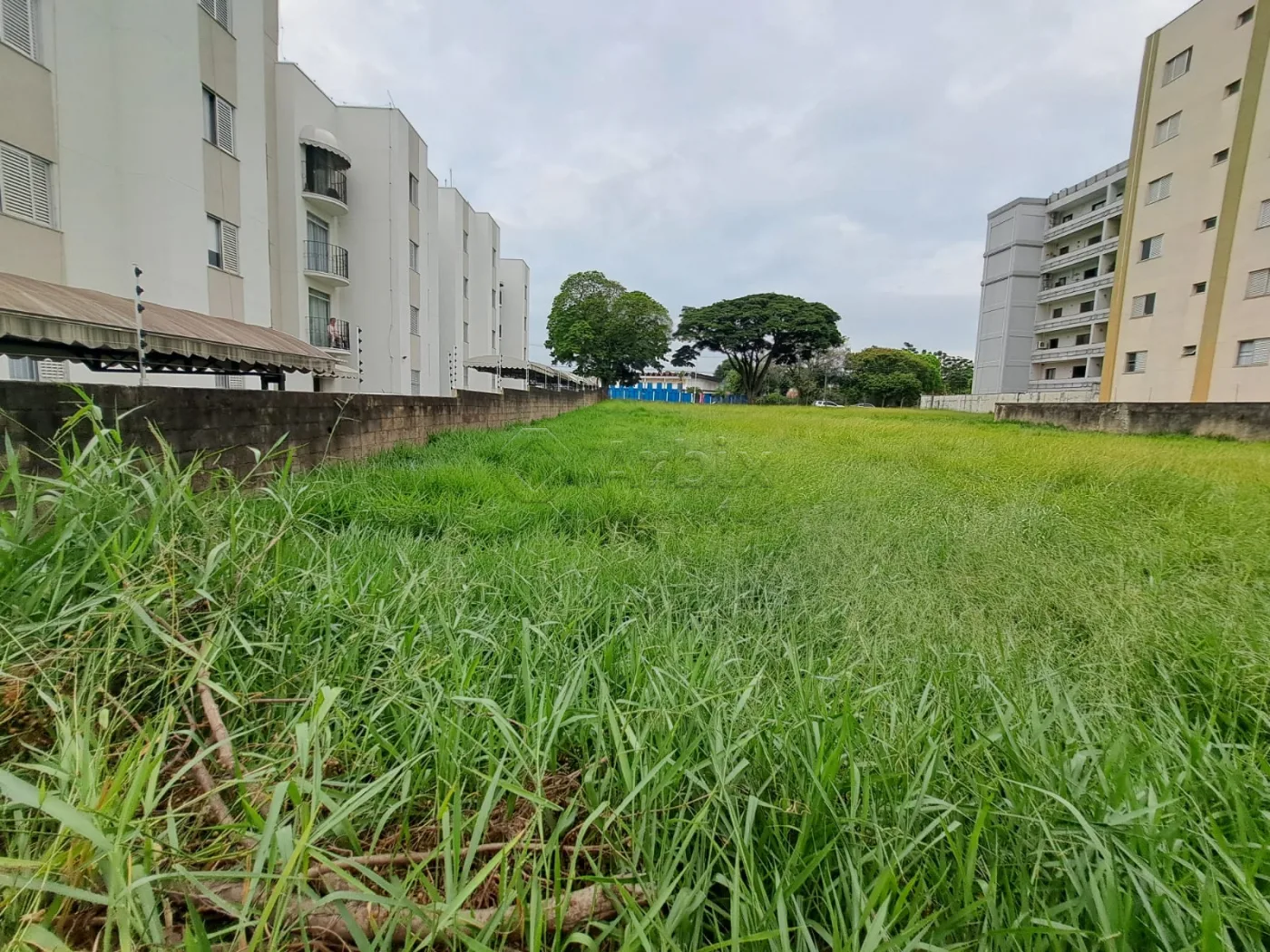 Comprar Terreno / Misto em Americana R$ 3.850.000,00 - Foto 10
