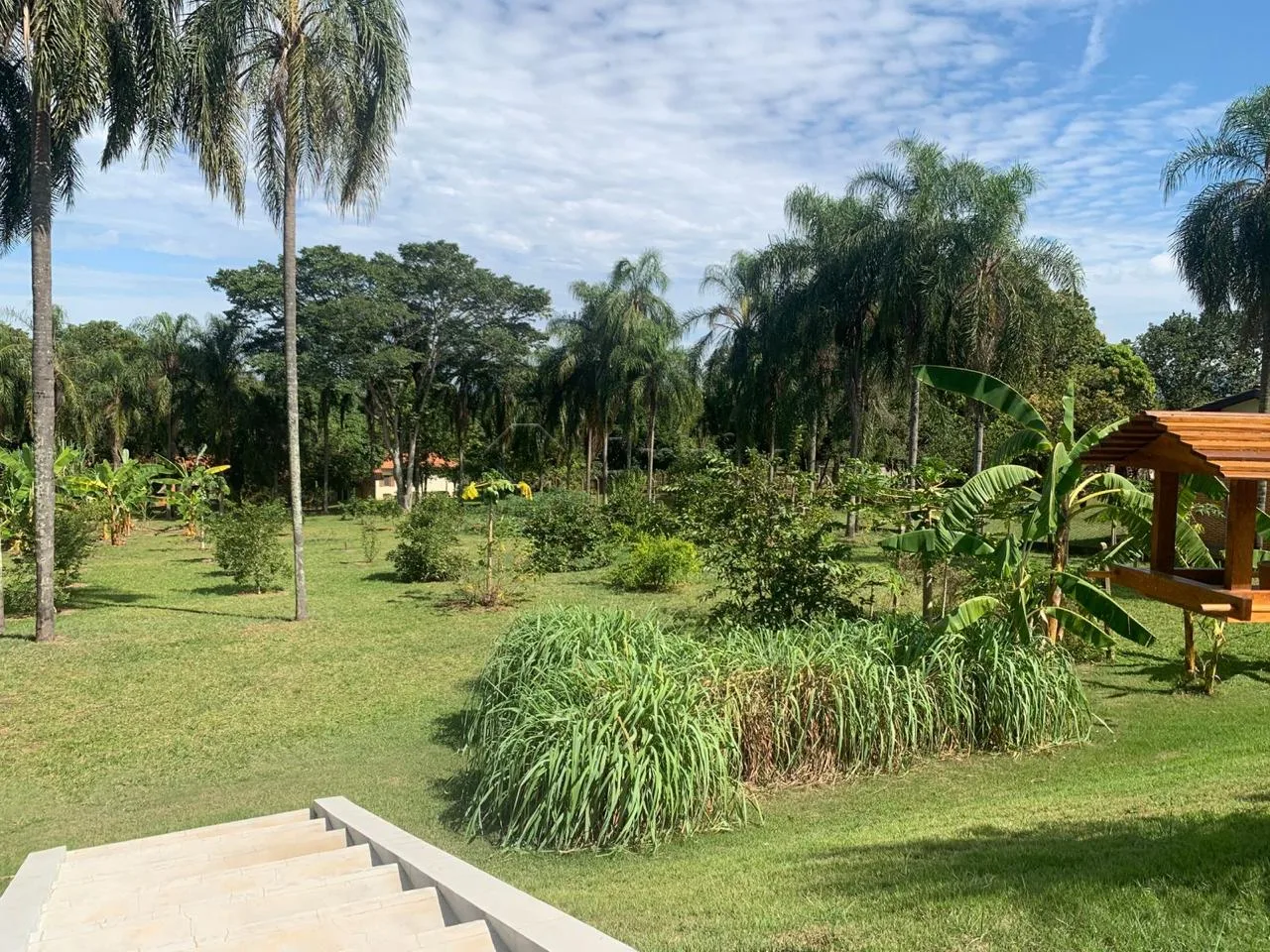 Comprar Rural / Ch&aacute;cara em S&atilde;o Pedro R$ 2.170.000,00 - Foto 4