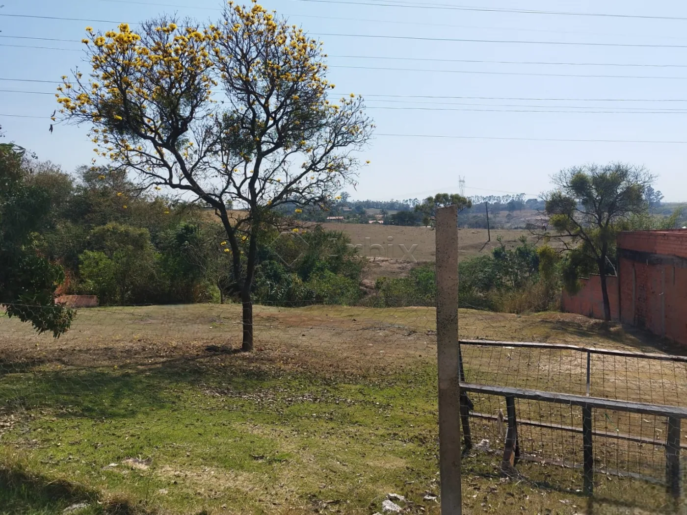 Comprar Terreno / Residencial em Limeira R$ 120.000,00 - Foto 2