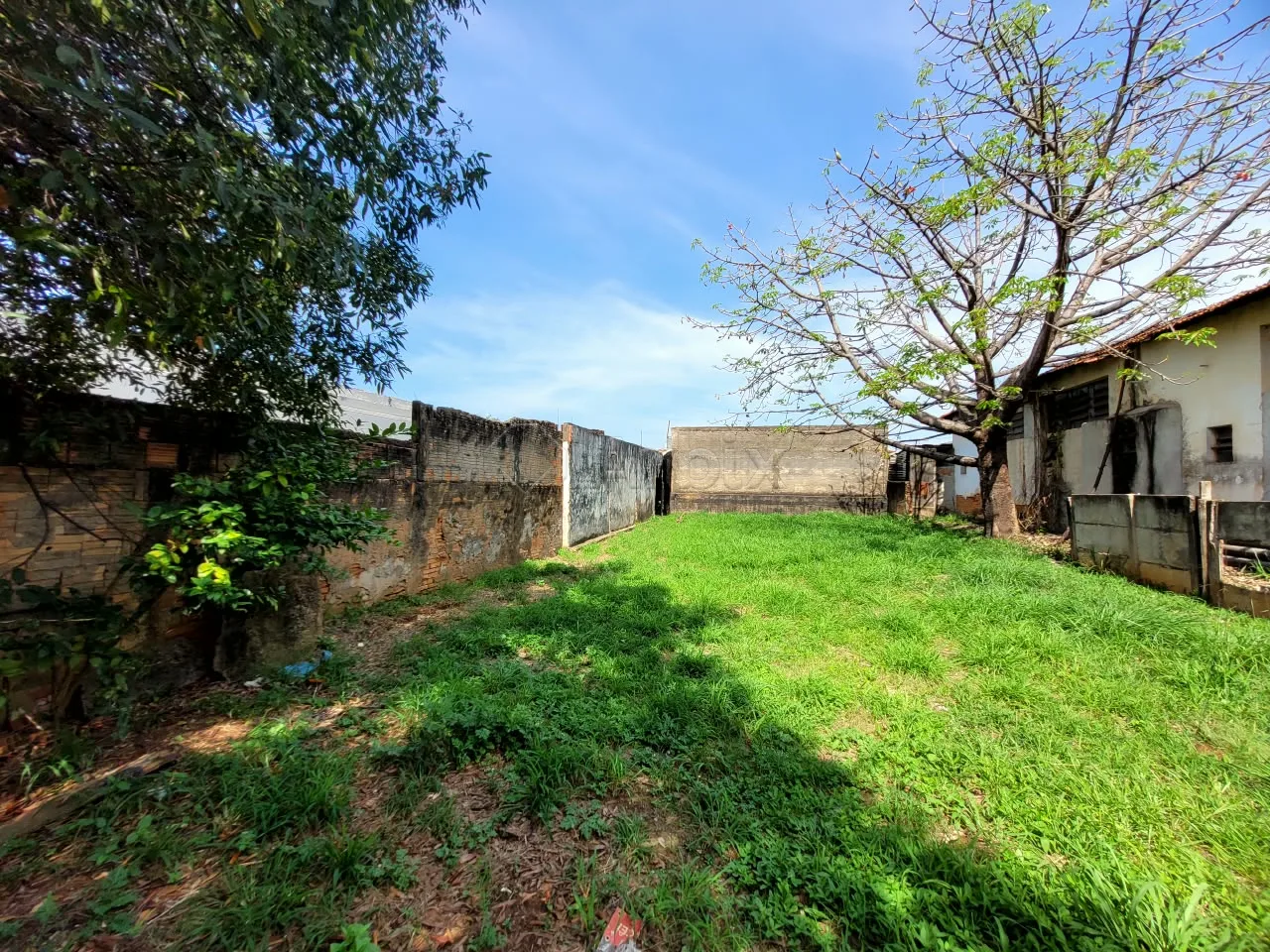 Alugar Terreno / Comercial em Americana R$ 1.600,00 - Foto 5