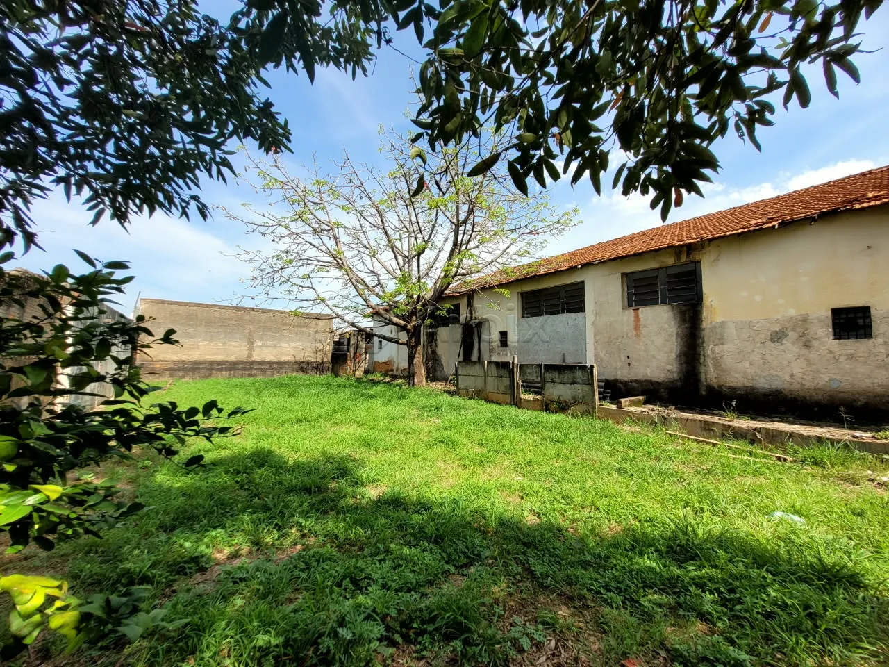 Alugar Terreno / Comercial em Americana R$ 1.600,00 - Foto 6