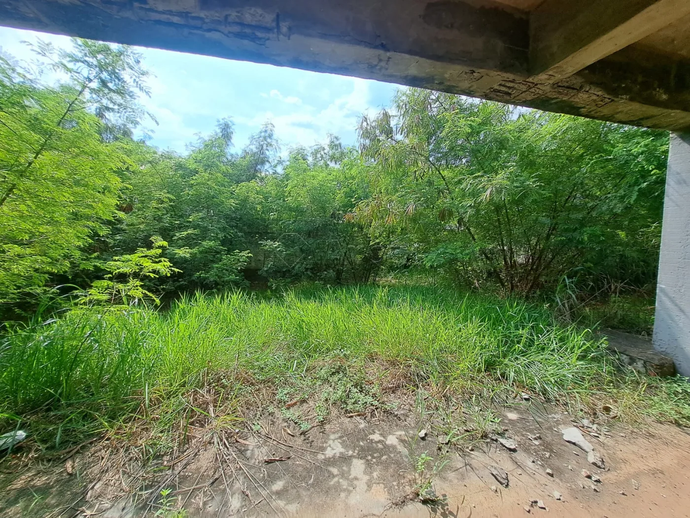 Alugar Terreno / Comercial em Americana R$ 3.700,00 - Foto 5