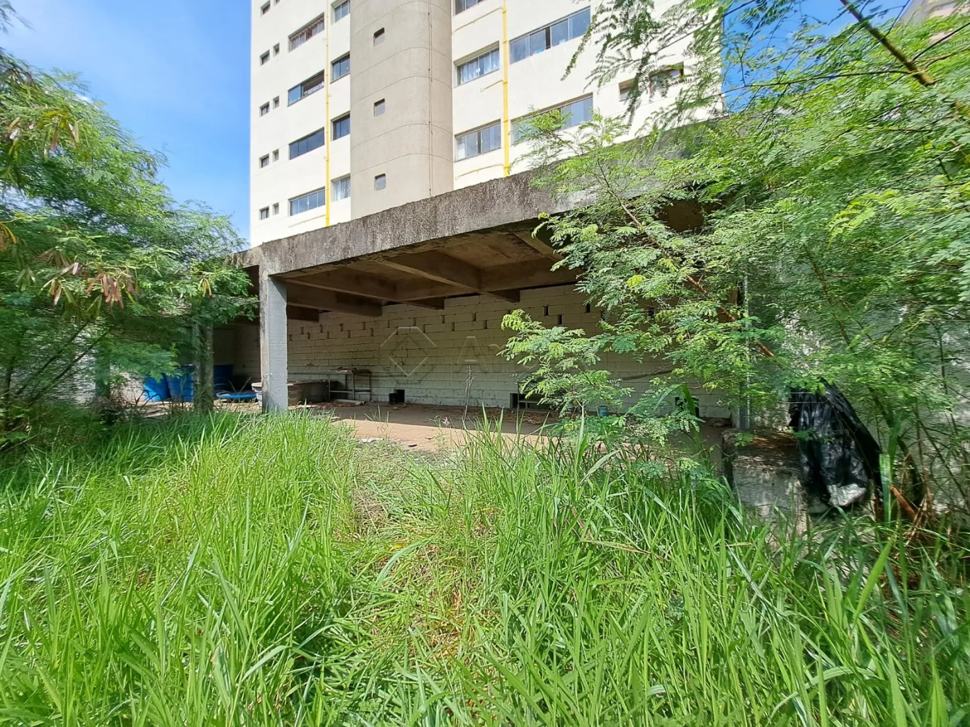 Alugar Terreno / Comercial em Americana R$ 3.700,00 - Foto 6