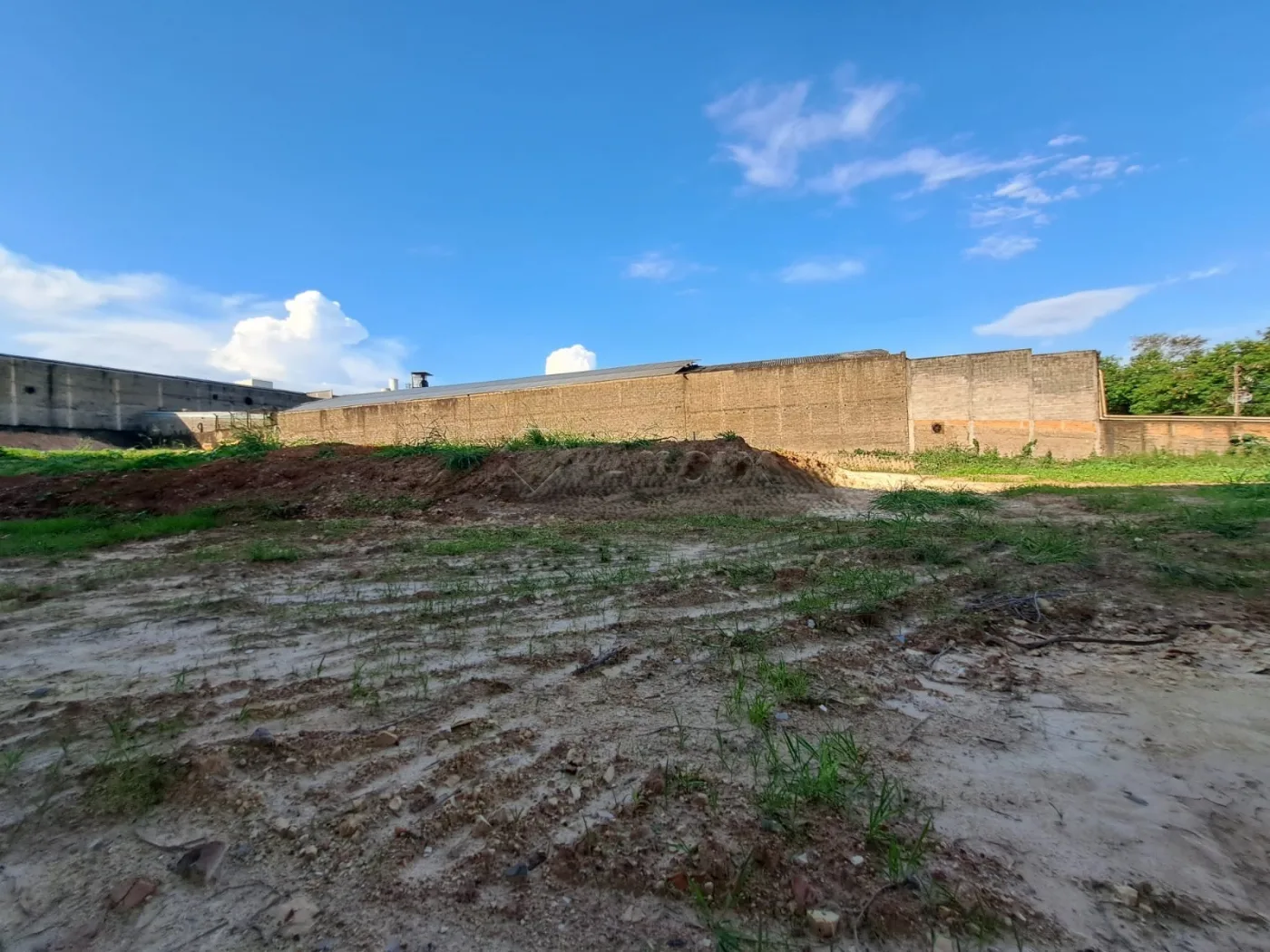 Alugar Terreno / Misto em Americana R$ 3.000,00 - Foto 3