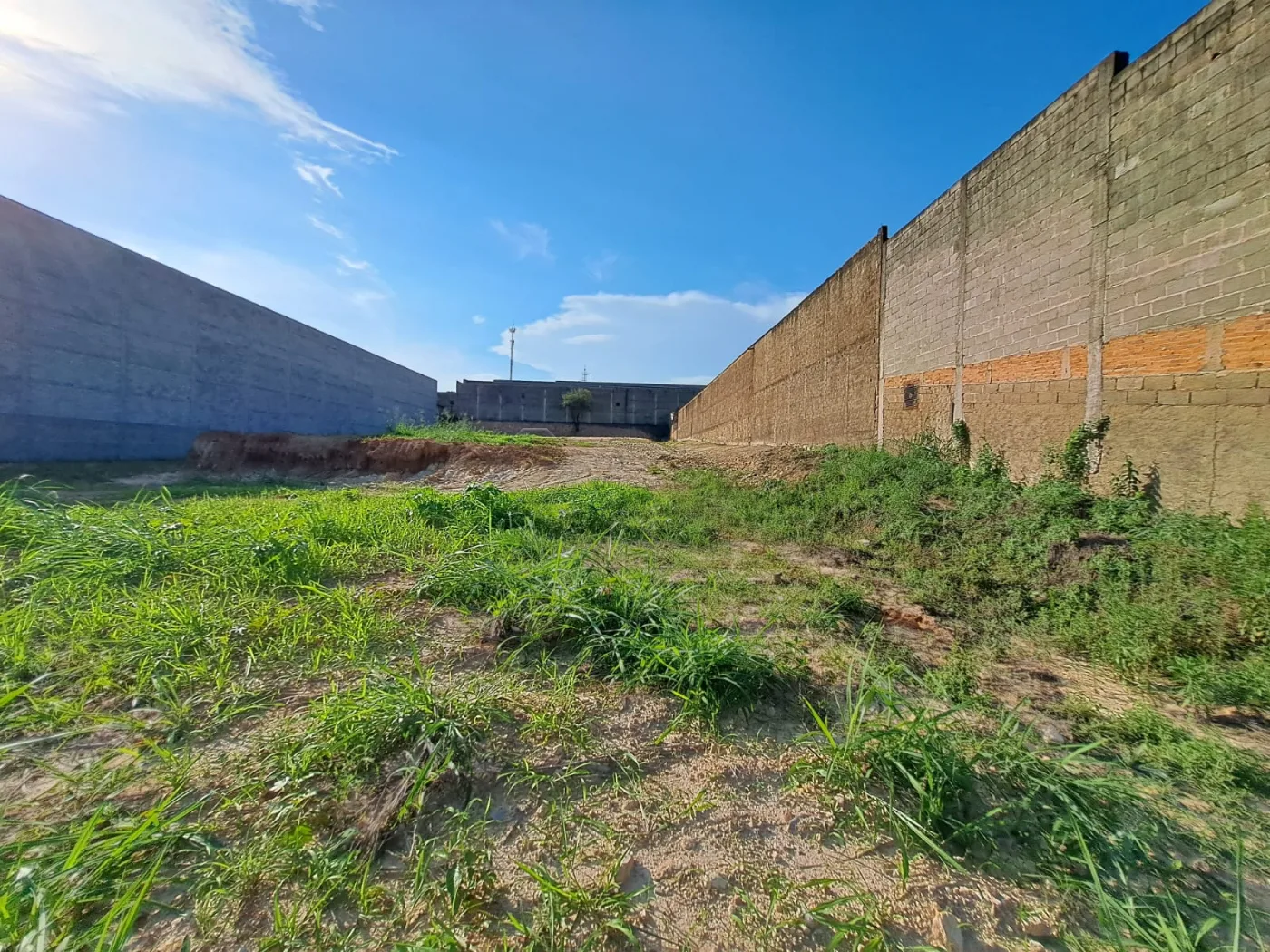 Alugar Terreno / Misto em Americana R$ 3.000,00 - Foto 5
