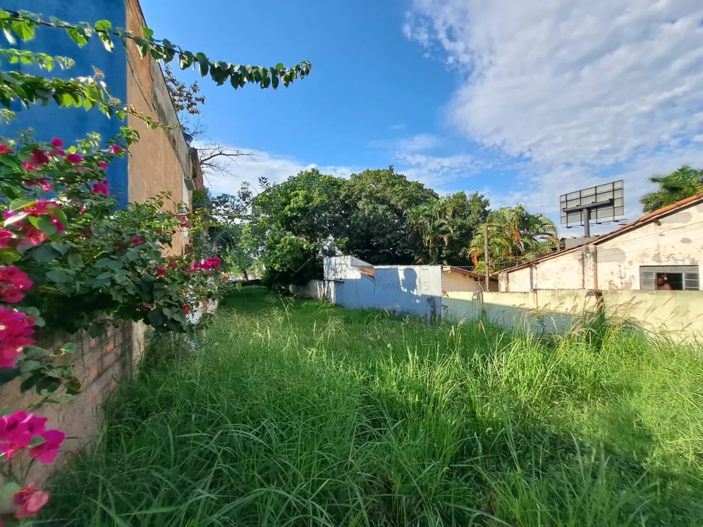 Alugar Terreno / Comercial em Americana R$ 1.900,00 - Foto 2