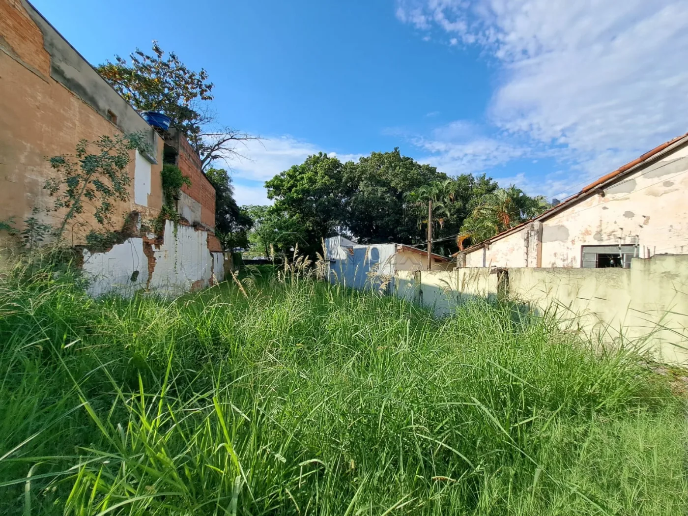 Alugar Terreno / Comercial em Americana R$ 1.900,00 - Foto 3