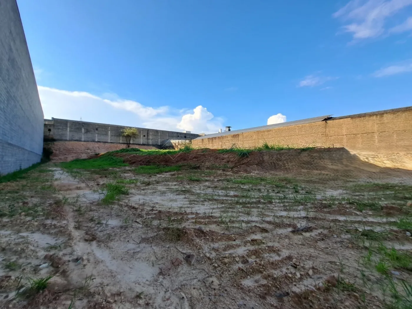 Alugar Terreno / Misto em Americana R$ 3.000,00 - Foto 1