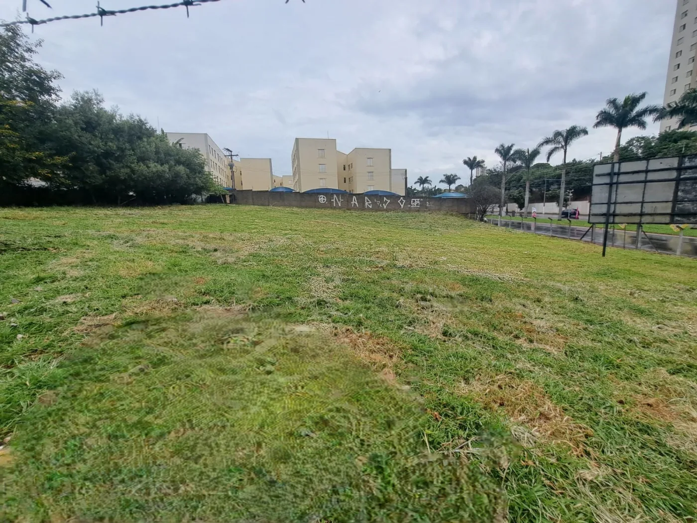 Alugar Terreno / Misto em Americana R$ 25.000,00 - Foto 5