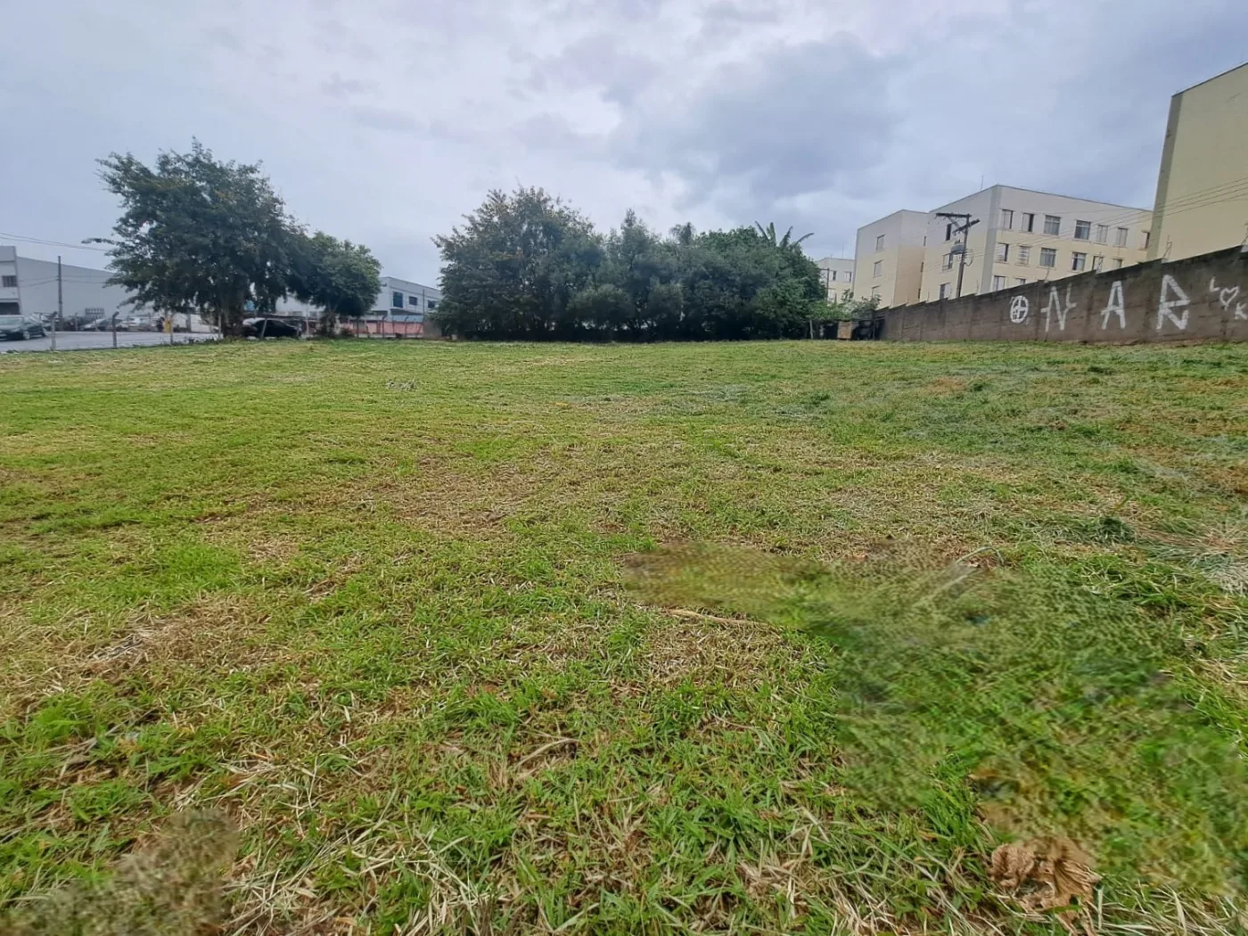Alugar Terreno / Misto em Americana R$ 25.000,00 - Foto 7