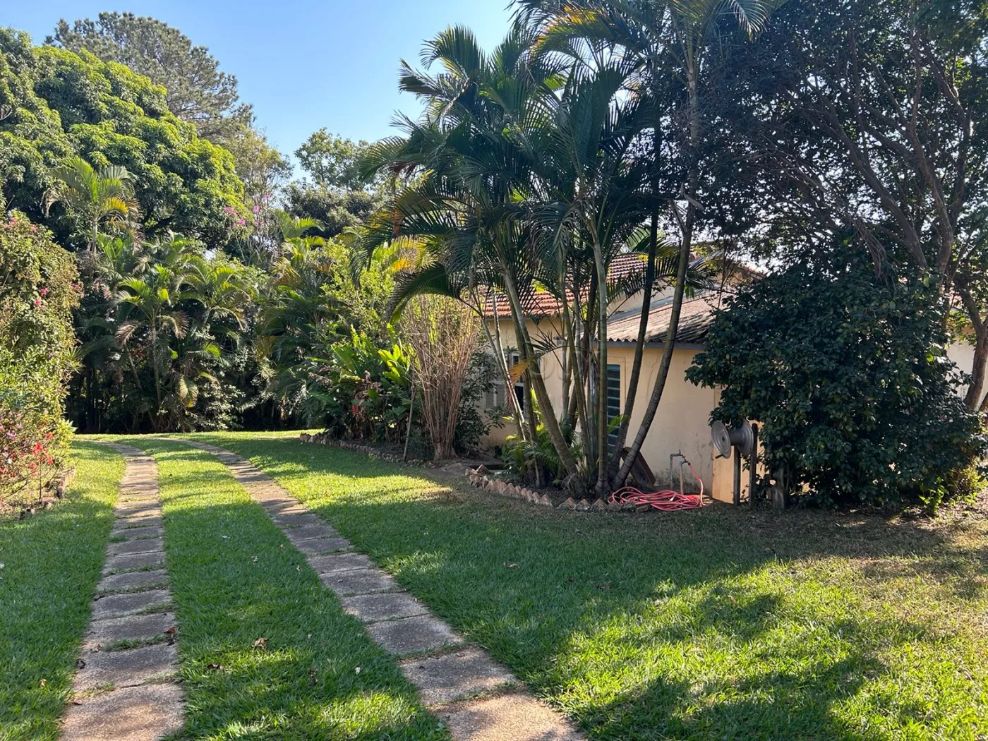 Comprar Rural / Ch&aacute;cara em Americana R$ 3.000.000,00 - Foto 10