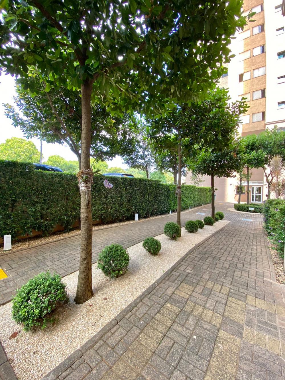 Alugar Apartamento / Apartamento em Americana R$ 1.400,00 - Foto 16