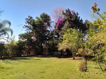 Americana Parque Residencial Tancredi Rural Venda R$585.000,00 2 Dormitorios 6 Vagas Area do terreno 1180.00m2 Area construida 60.00m2