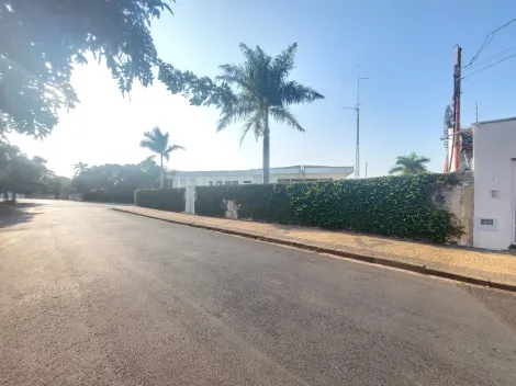 Americana Vila Santa Maria Casa Venda R$1.400.000,00 3 Dormitorios 7 Vagas Area do terreno 970.00m2 Area construida 490.00m2