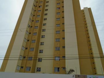 Americana Jardim Santa Eliza apartamento Locacao R$ 1.350,00 Condominio R$350,00 2 Dormitorios 1 Vaga Area construida 50.00m2