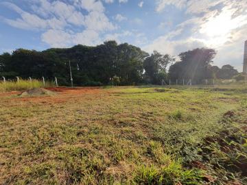 Americana Parque Nova Carioba Comercial Venda R$271.000,00  Area do terreno 318.60m2 