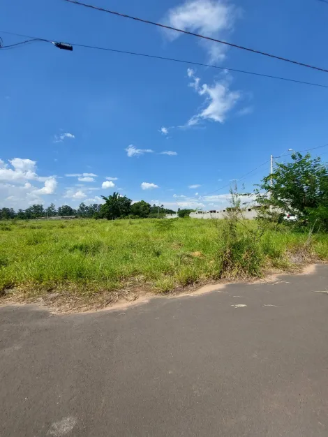 Americana Jardim Pacaembu Terreno Locacao R$ 4.000,00  Area do terreno 482.00m2 