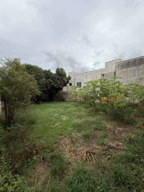 Americana Sao Manoel Terreno Venda R$530.000,00  Area do terreno 456.00m2 