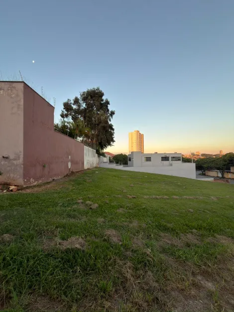 Americana Jardim Bela Vista Terreno Venda R$482.600,00  Area do terreno 438.75m2 