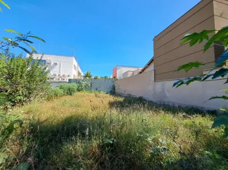Americana Vila Frezzarin Terreno Locacao R$ 1.200,00  Area do terreno 300.00m2 
