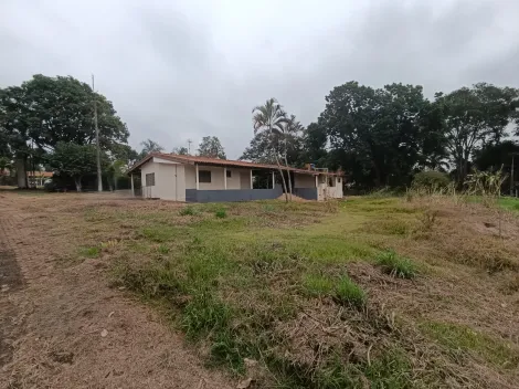 Limeira Santa Paula Rural Venda R$1.280.000,00 3 Dormitorios 8 Vagas Area do terreno 10000.00m2 Area construida 250.00m2