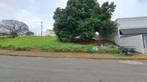 Americana Jardim Bela Vista Terreno Venda R$470.000,00  Area do terreno 391.00m2 