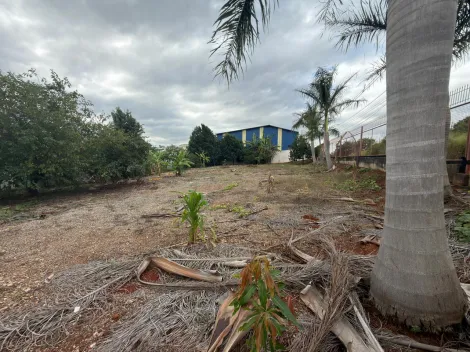 Americana Salto Grande Area Venda R$1.449.000,00  Area do terreno 1400.00m2 