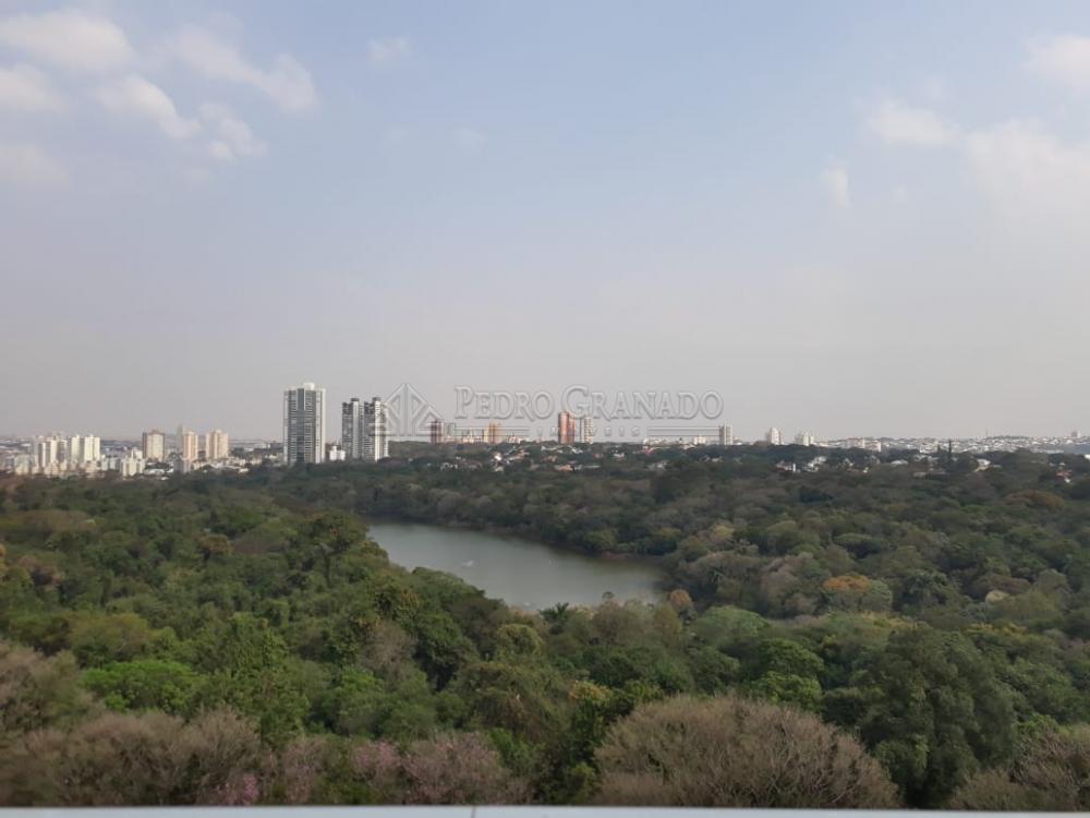 Apartamento para alugar em Zona 01, Maringá — Portal Chave Fácil