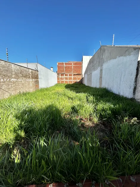 Maringa Jardim Novo Paulista Terreno Venda R$140.000,00  Area do terreno 200.00m2 