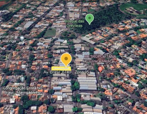 Maringa Zona 05 Estabelecimento Locacao R$ 1.000,00  Area do terreno 1100.00m2 
