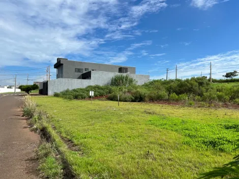 Maringa Jardim Europa Terreno Venda R$298.000,00  Area do terreno 400.00m2 