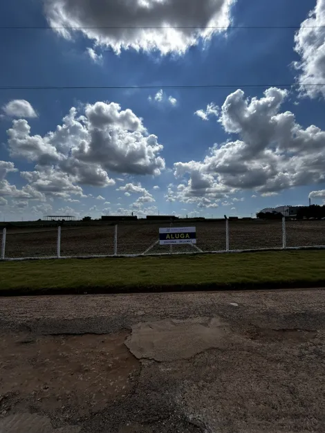 Maringa Gleba Ribeirao Sarandi Comercial Locacao R$ 6.500,00  Area do terreno 10000.00m2 