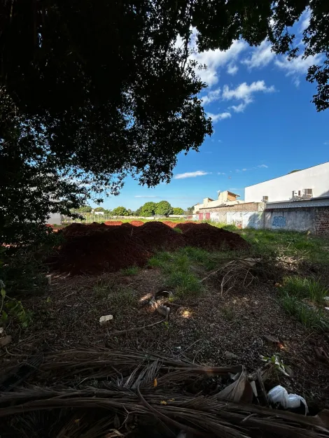 Maringa Jardim Sao Silvestre Comercial Locacao R$ 9.500,00  Area do terreno 3740.00m2 