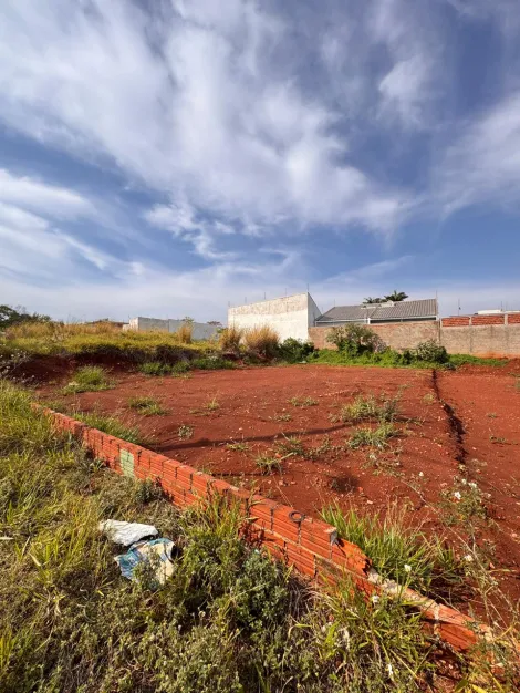 Maringa Jardim Sao Miguel Comercial Venda R$230.000,00  Area do terreno 306.55m2 