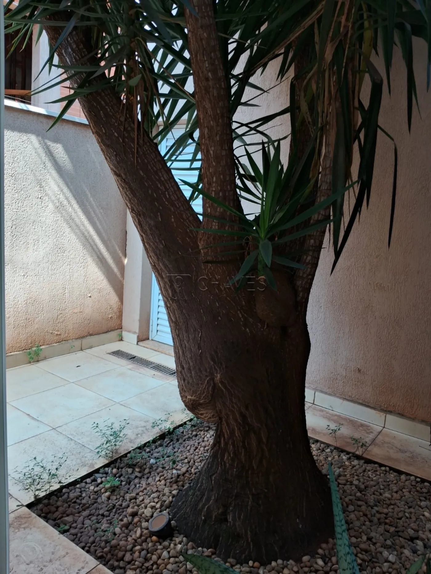 Comprar Casa / Condom&iacute;nio em Ribeir&atilde;o Preto R$ 1.200.000,00 - Foto 13