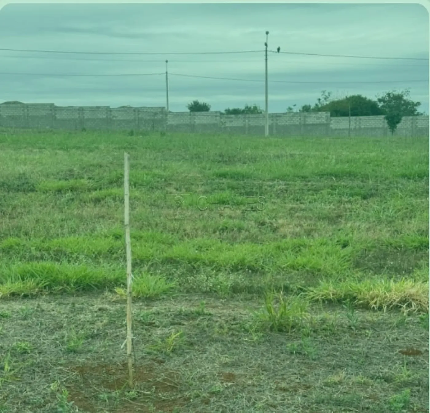 Comprar Terreno / Condom&iacute;nio em Ribeir&atilde;o Preto R$ 350.000,00 - Foto 1