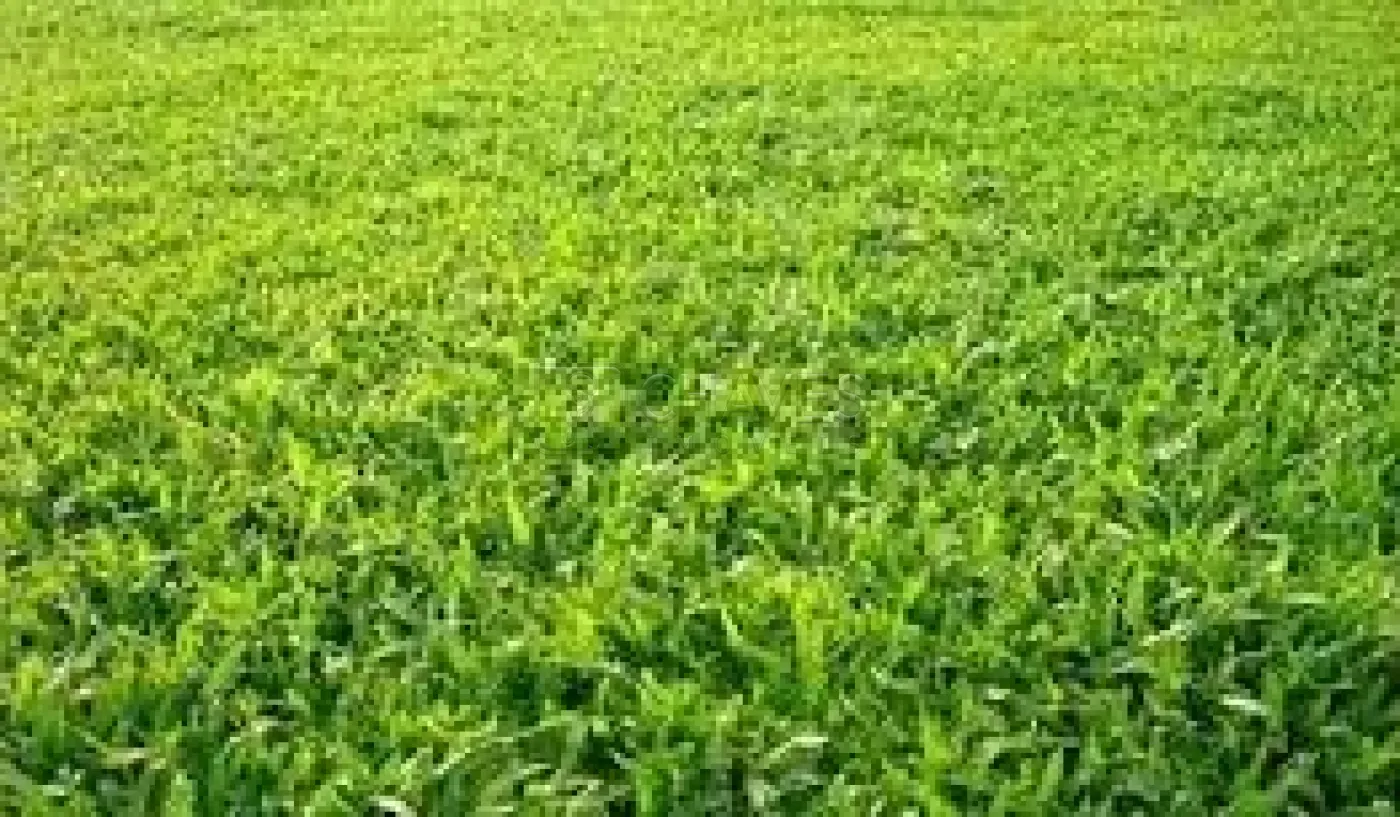 Comprar Terreno / Condom&iacute;nio em Bonfim Paulista R$ 1.490.000,00 - Foto 1