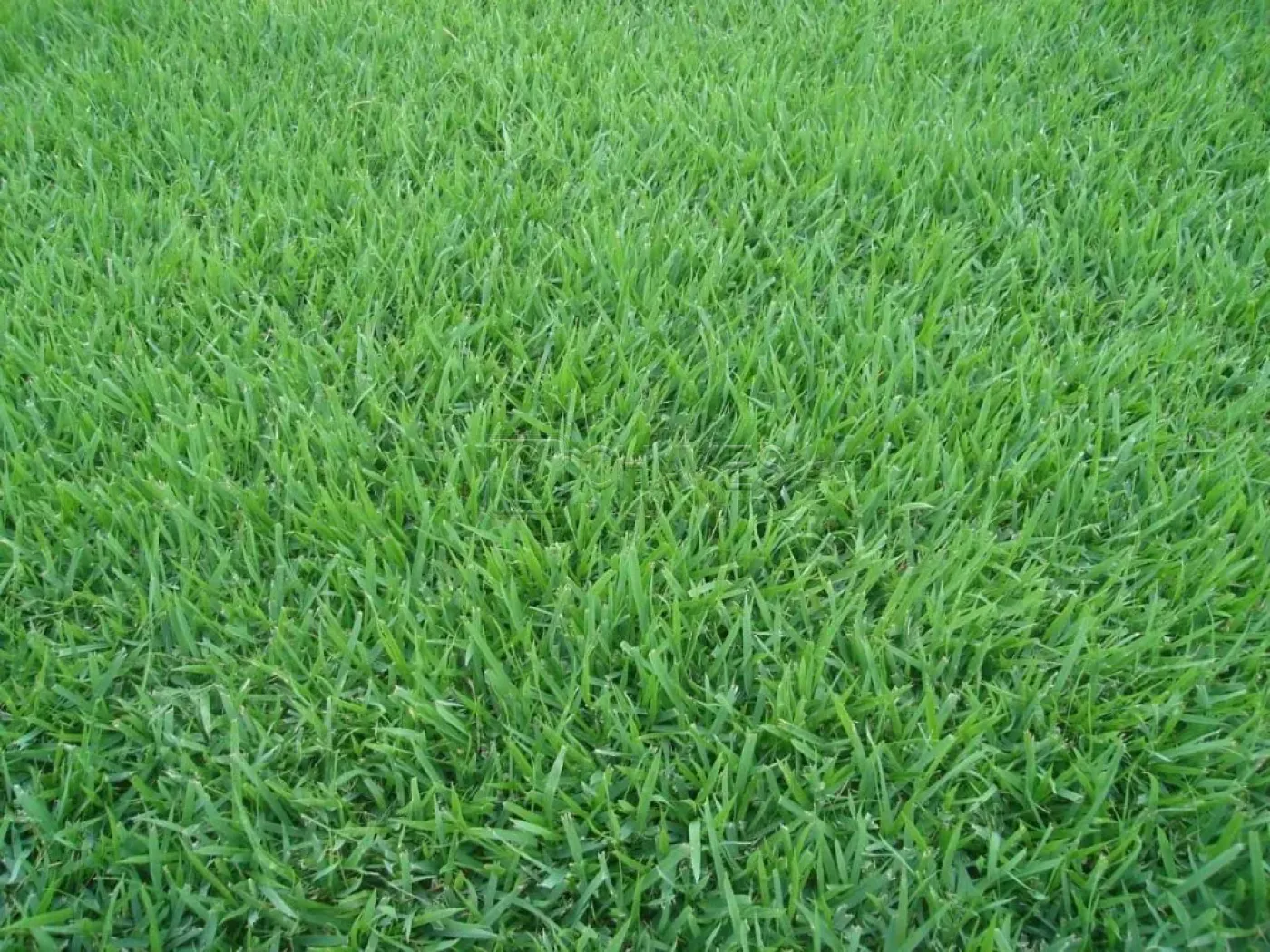 Comprar Terreno / Padr&atilde;o em Ribeir&atilde;o Preto R$ 60.000.000,00 - Foto 1