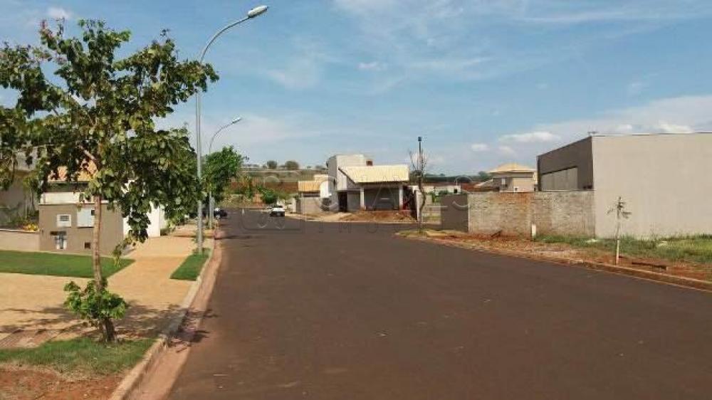 Comprar Casa / Condom&iacute;nio em Bonfim Paulista R$ 1.000.000,00 - Foto 43