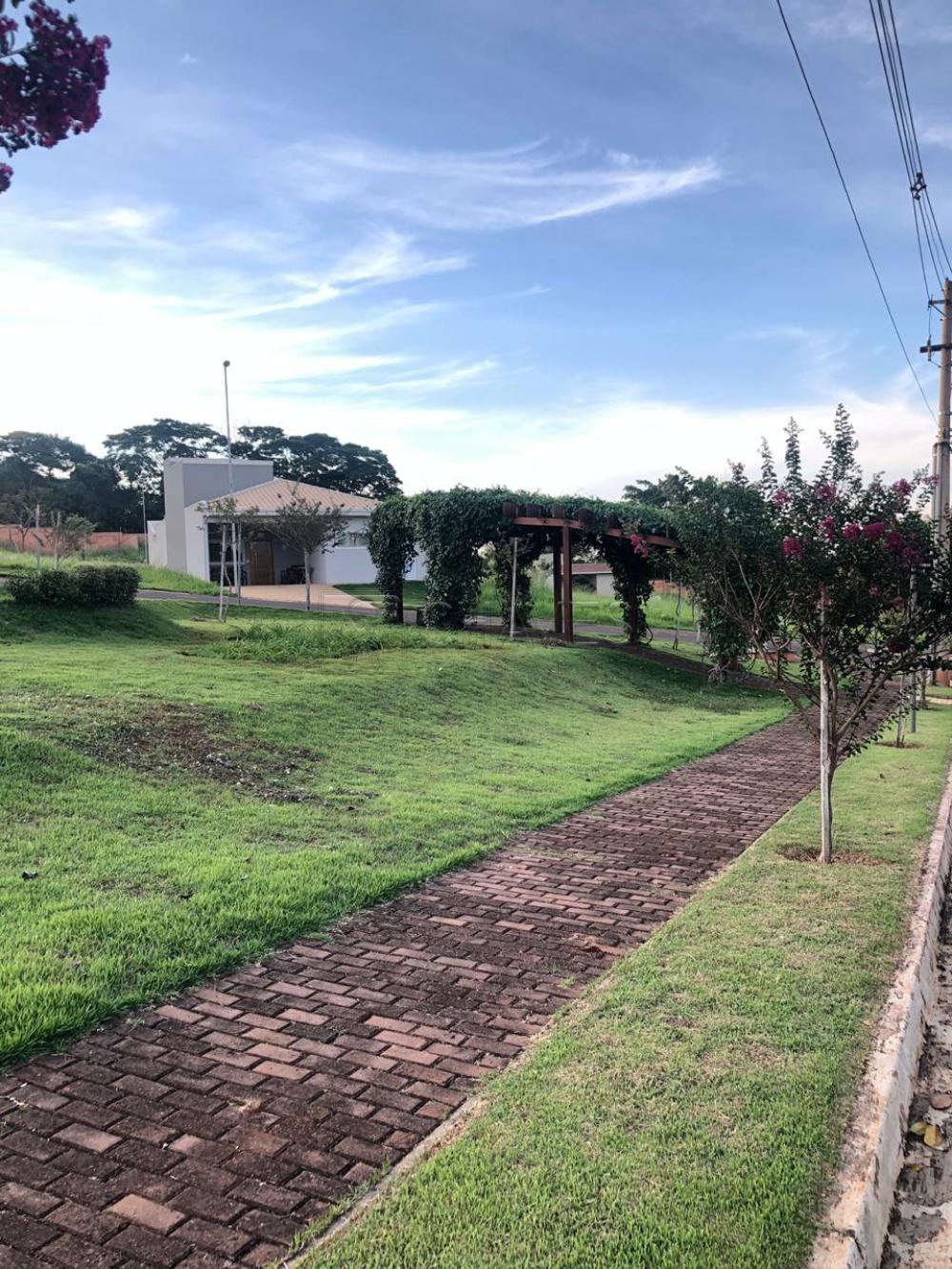 Comprar Casa / Condom&iacute;nio em Ribeir&atilde;o Preto R$ 1.250.000,00 - Foto 31