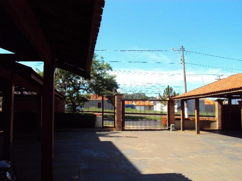 Alugar Apartamento / Padr&atilde;o em Ribeir&atilde;o Preto R$ 1.200,00 - Foto 25
