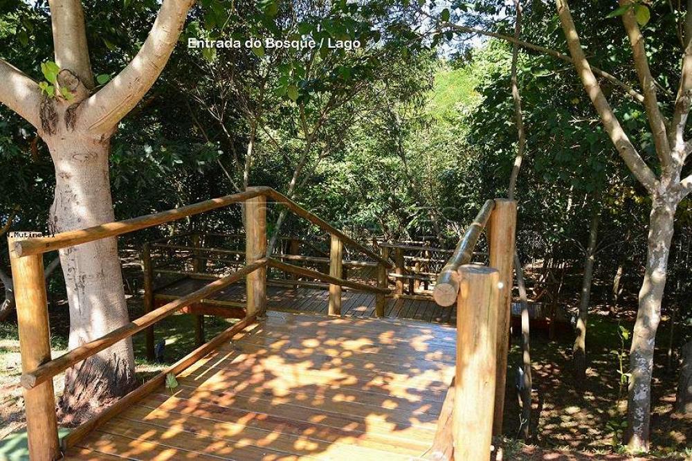 Comprar Casa / Condom&iacute;nio em Bonfim Paulista R$ 4.850.000,00 - Foto 17