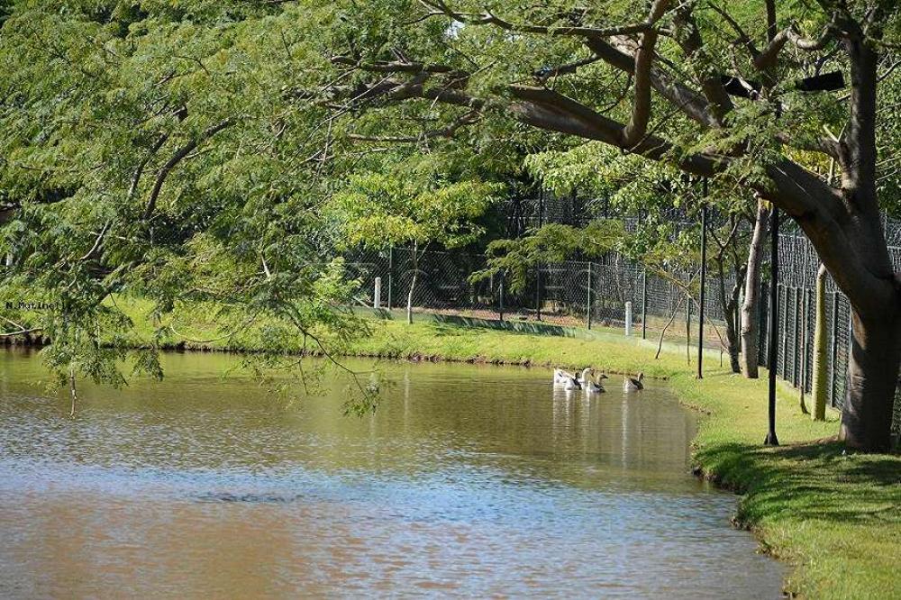 Comprar Casa / Condom&iacute;nio em Bonfim Paulista R$ 4.850.000,00 - Foto 18