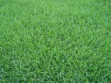 Ribeirao Preto Bonfim Paulista Terreno Venda R$60.000.000,00  Area do terreno 27000.00m2 