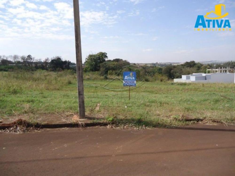 Comprar Terreno / Lote Urbano em Toledo R$ 790.000,00 - Foto 1