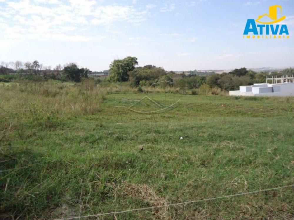 Comprar Terreno / Lote Urbano em Toledo R$ 790.000,00 - Foto 2