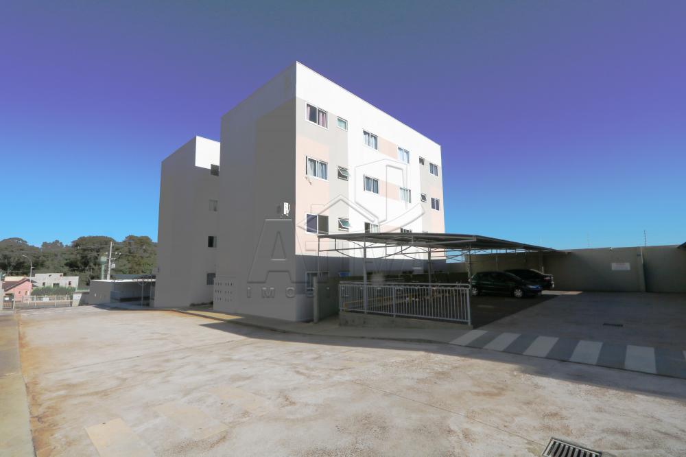 Alugar Apartamento / Padr&atilde;o em Toledo R$ 1.400,00 - Foto 11