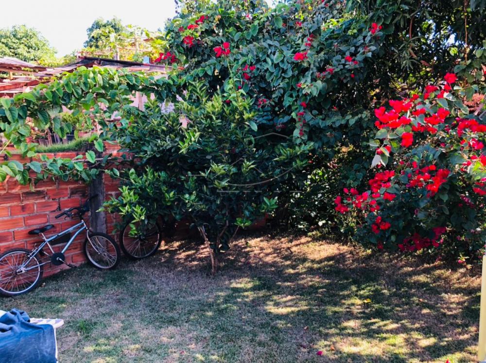 Alugar Casa / Padr&atilde;o em Toledo R$ 1.200,00 - Foto 13