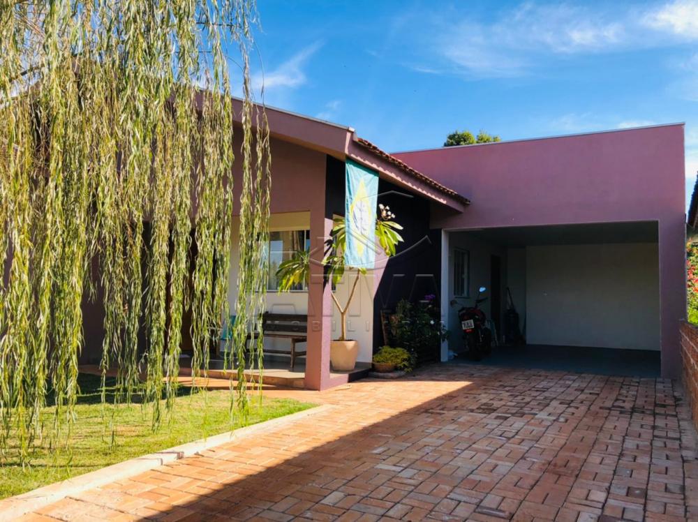 Alugar Casa / Padr&atilde;o em Toledo R$ 1.200,00 - Foto 6